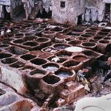 Fes - Tannery